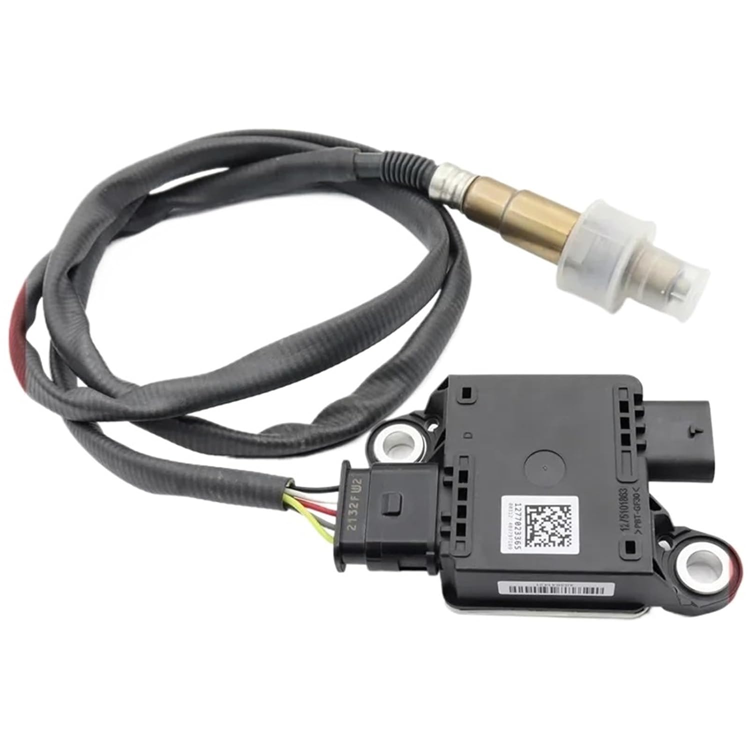 やさしい医学生英語 やさしい医学生英語